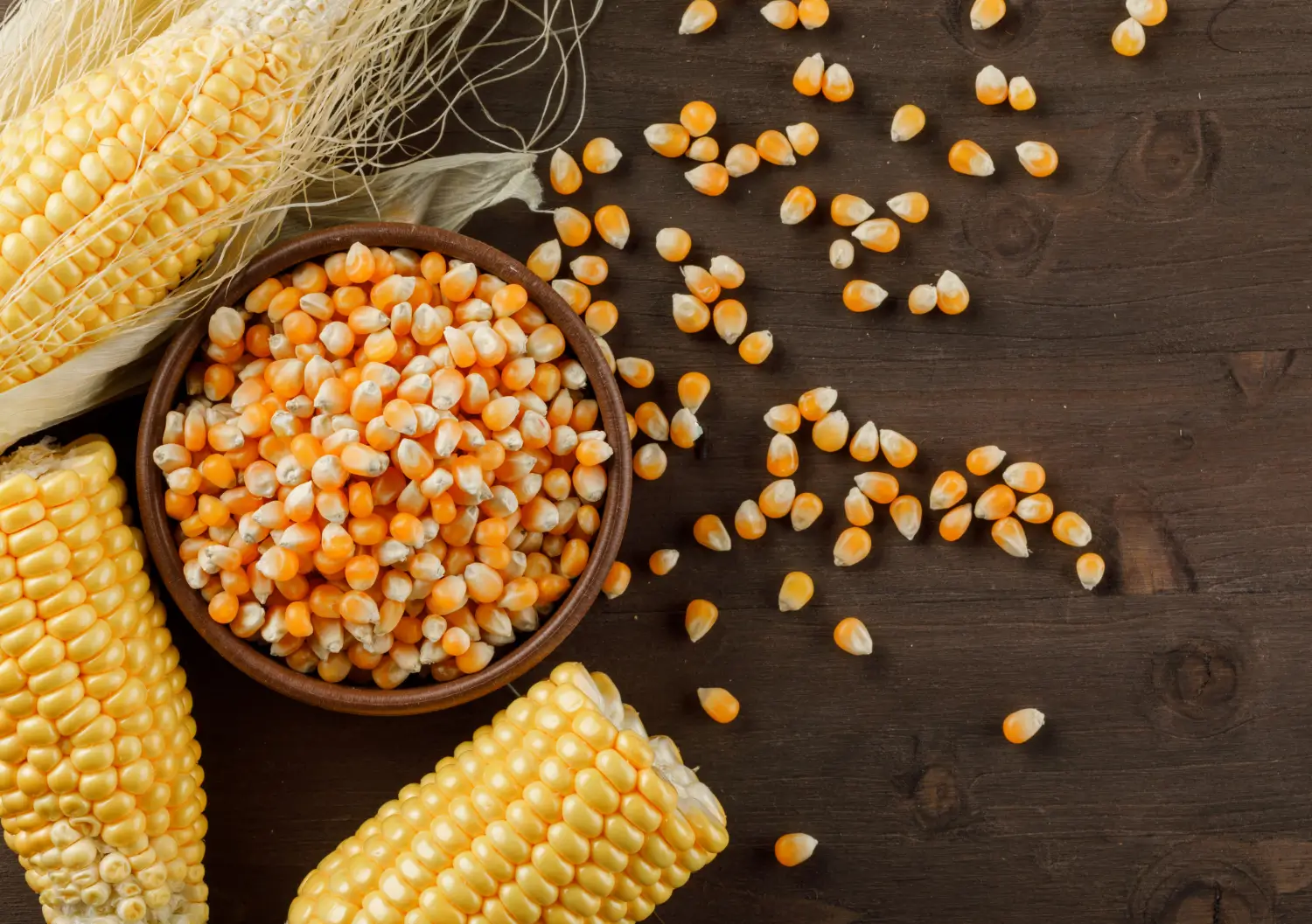 Maize Gluten