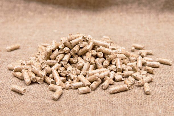 Tapioca Residue (Fibre)