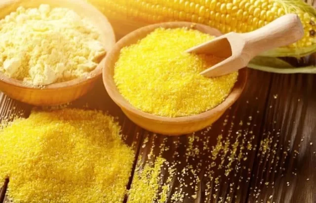 Maize Gluten