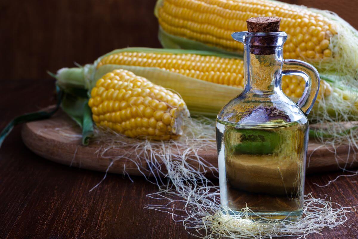Maize (CORN) Germ
